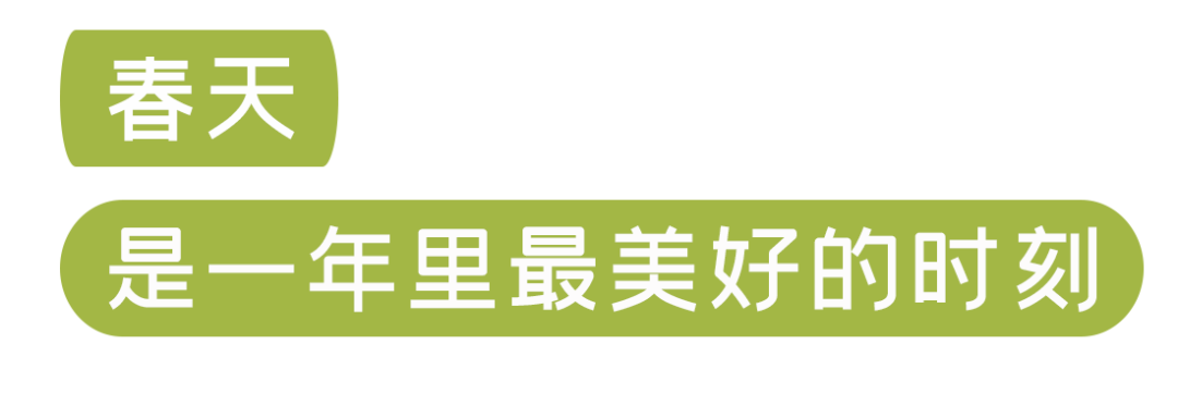 春来踏青，华美相随【内有福利活动】